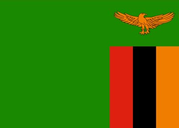 2021 Zambia Election Apron