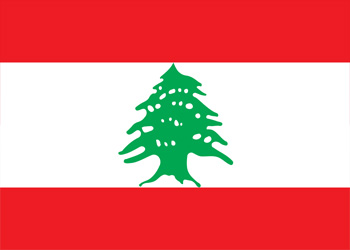 2021 Lebanon Plastic Election Voting Booth