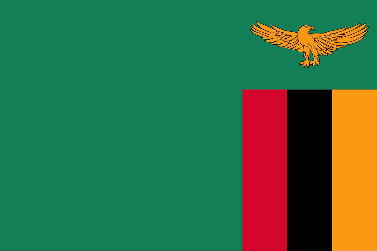 Election supplies in Zambia