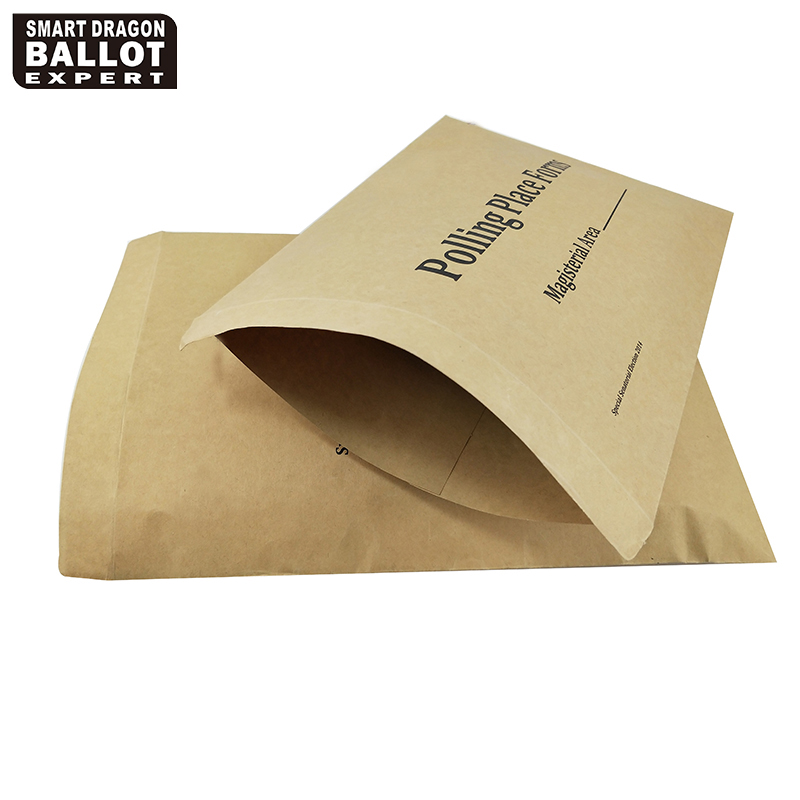 voting envelop2